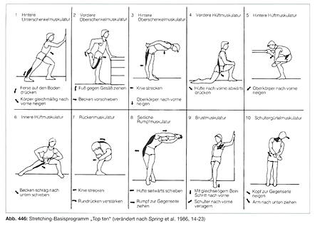 Schaubild Beweglichkeit