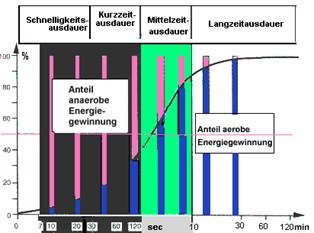 Schaubild Ausdauer