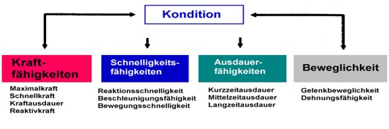 Schaubild Kondition