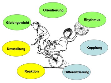 Schaubild Korordination